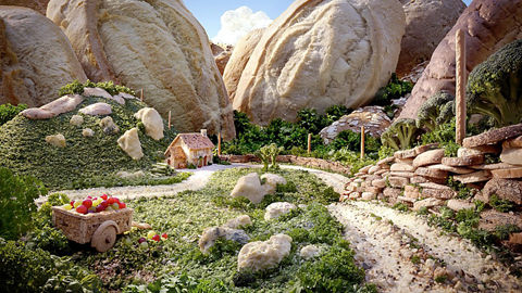 蔬菜食品拍出驚艷藝術杰作