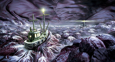 蔬菜食品拍出驚艷藝術(shù)杰作