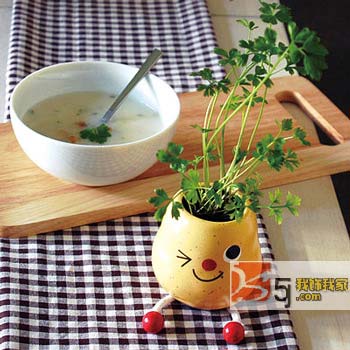 創意廚房小飾品給生活加點料(一)