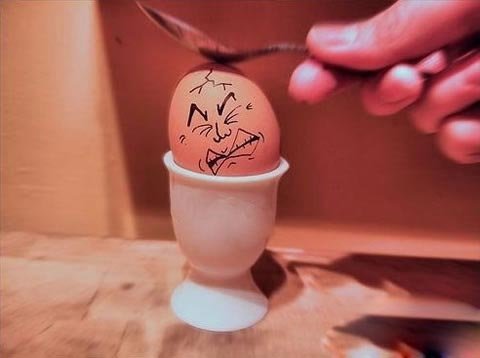 讓你笑掉大牙的雞蛋