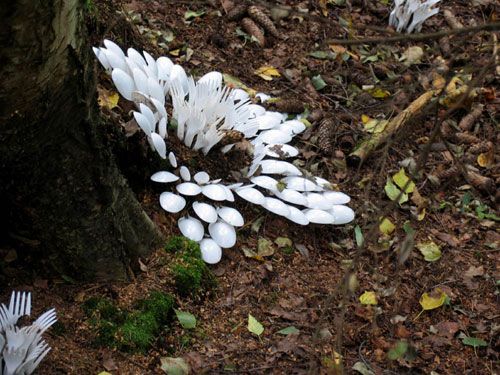 緊跟時尚 年輕人選擇的地板 一次性餐具拼出別樣藝術