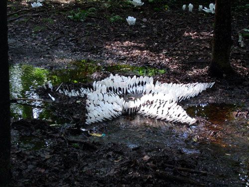 緊跟時尚 年輕人選擇的地板 一次性餐具拼出別樣藝術(shù)