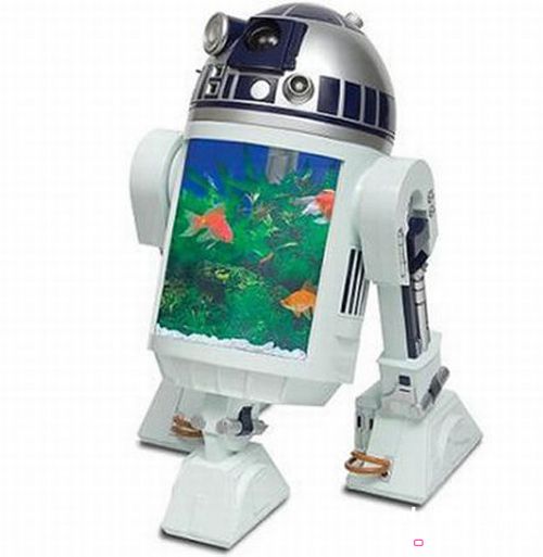 超乎你想象的創(chuàng)意魚(yú)缸