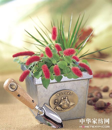 宮崎峻動畫版盆景