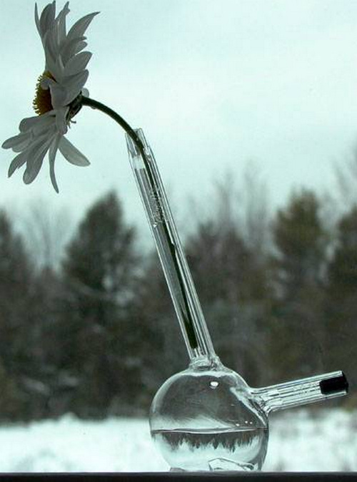 帶有禪意風格的唯美花瓶