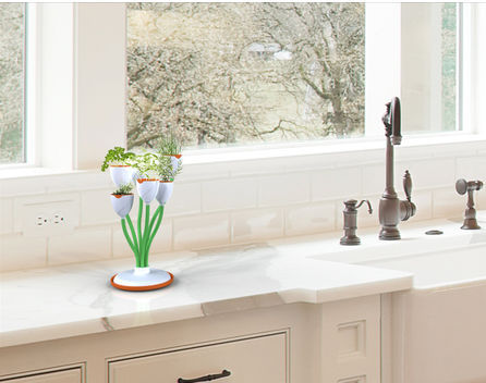 花莖花盆把花種在“花”里