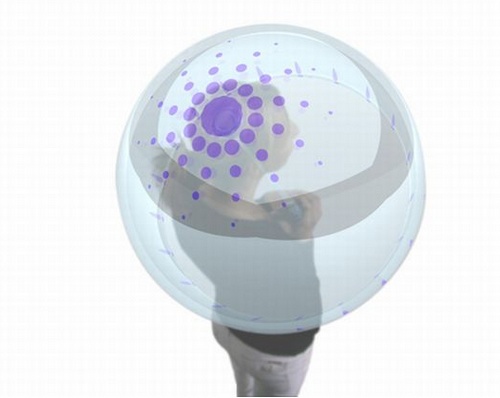 無需骨架支撐的充氣式雨傘