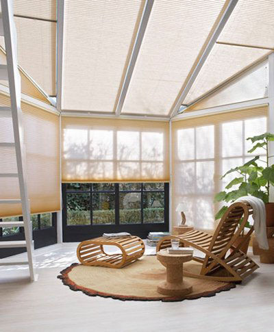 有趣的植物根地毯設計