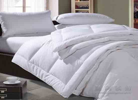 藍鴿家紡挑選保養羽絨被有絕招