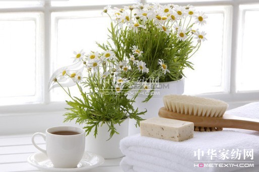 鼠標手有望納入職業病 18個家居健康小秘笈