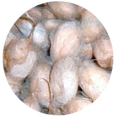 3·15神神家紡在行動鑒別蠶絲被