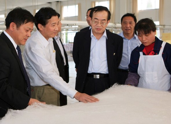國家農業部副部長陳曉華一行蒞臨玖久絲綢調研