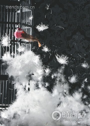 三高體質選擇正確羽絨被(一)