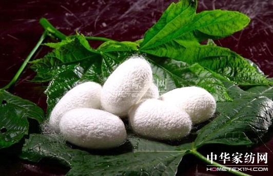 依諾雅:使用蠶絲被的好處