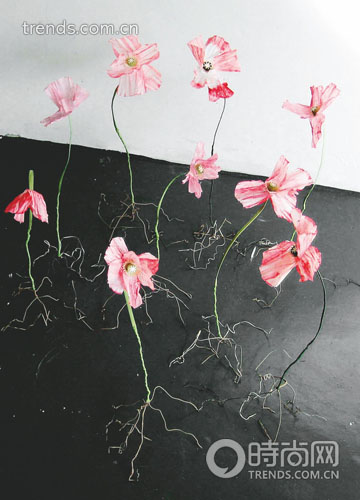 DesignIndabaEXPO的作品精選