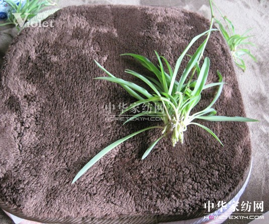 紫羅蘭精選地毯 鋪設(shè)家中氣質(zhì)非凡