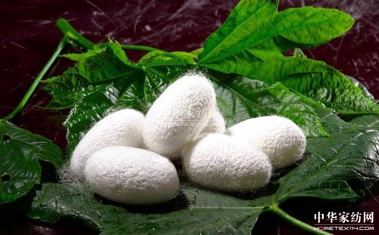 依諾雅:使用蠶絲被的好處