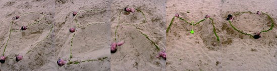 記寶縵家紡招商團(tuán)隊(duì)青島游