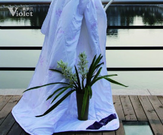 有家有愛有紫羅蘭