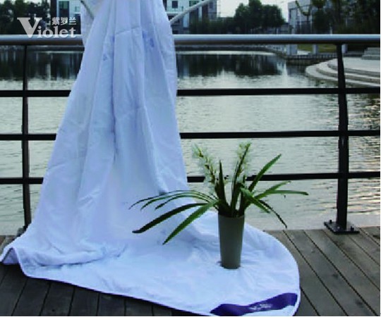 沉醉在紫羅蘭的甜美夢境