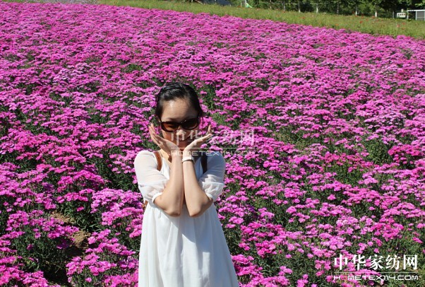 博洋家紡奏響“愛在博洋,戀上北海道”活動甜蜜曲