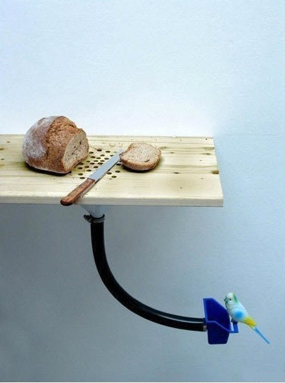 吃貨們逆天之作廚房用具的科技