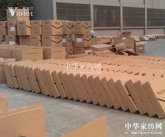 雙十一紫羅蘭銷售創(chuàng)新高