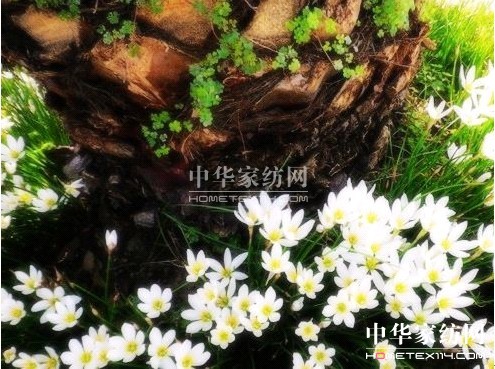 寶縵家紡:科學(xué)防護(hù)驅(qū)逐霧霾