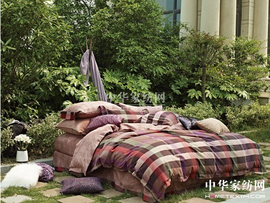 紫羅蘭:立秋時(shí)節(jié),新品推薦