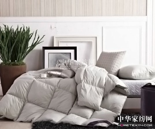 紫羅蘭:解析幾款常見冬被