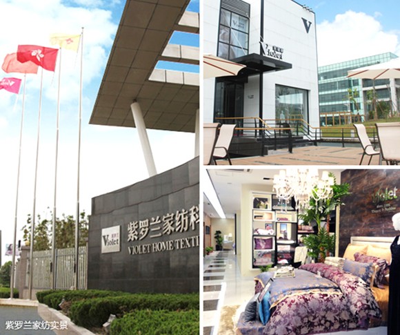 十八年榮譽:紫羅蘭突破創新 鑄就傳奇