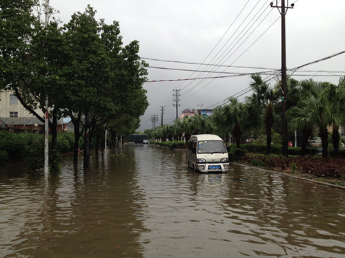 “菲特”臺風(fēng)登陸蒼南 盛宇抗臺救災(zāi)搶險