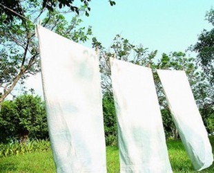 不曬棉被會滋生百萬螨蟲