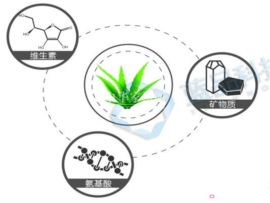 藍品:蘆薈素盧卡纖維賦予肌膚更好呵護