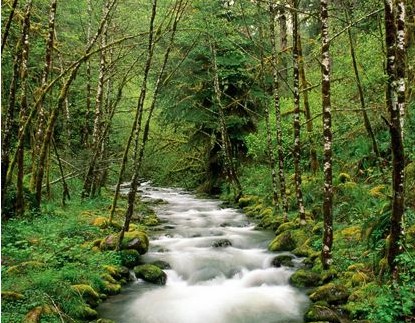 3D家紡給家?guī)砣乱曈X沖擊