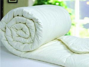 冬季如何購買棉被?