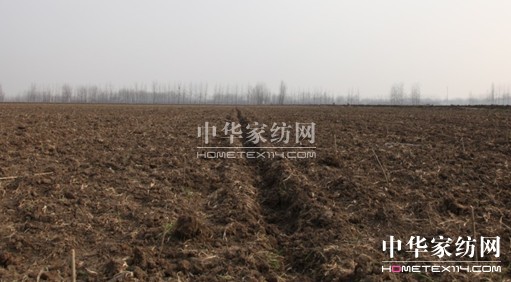 玖久絲綢萬畝生態(tài)桑園科學(xué)栽桑