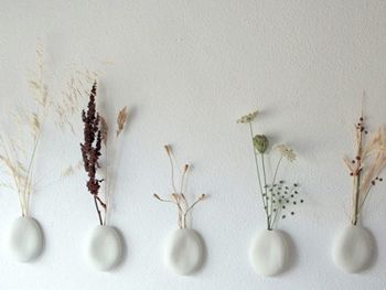 綠色植物裝點墻壁