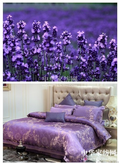 歐派家紡:全球最美蜜月圣地