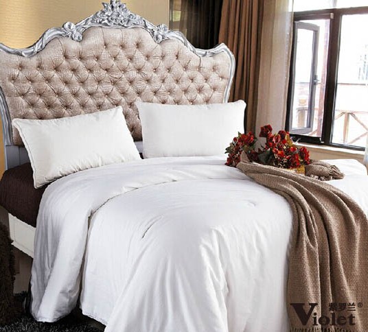 紫羅蘭:關于蠶絲被的那點事兒