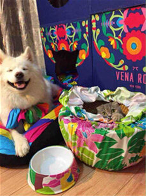 ӶƣΨ_Ҽص̘I(y)ģʽ