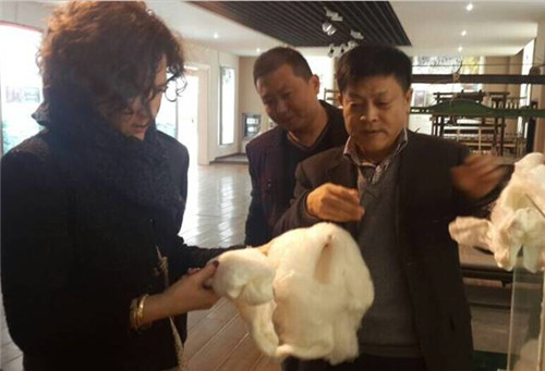 意大利客商到玖久絲綢企業考察