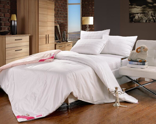 圣富萊:我如陽(yáng)光用芯溫暖