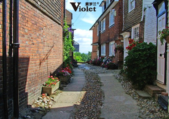 紫羅蘭法蘭絨系列:來(lái)自歐洲的保暖體驗(yàn)