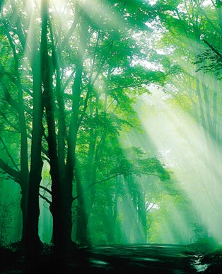 _mCҼ˯еĿ՚S-ؓ(f)x