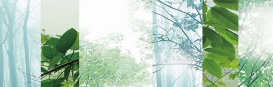 _mCҼ߀ԭRԭB(ti)ƽh(hun)