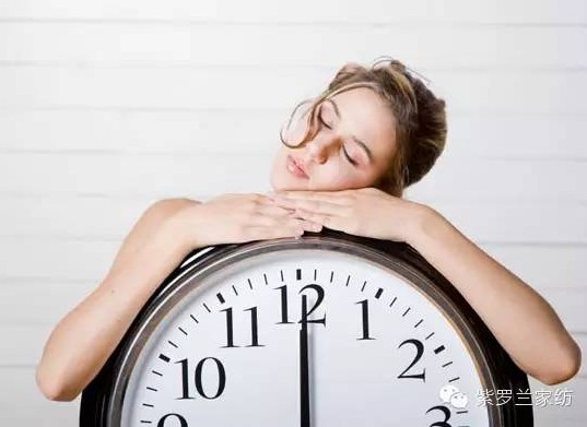 紫羅蘭生機立體枕:從此高枕無憂,因為我睡了它