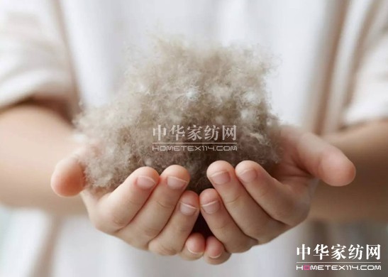 豪氣!27萬買下博洋家紡"被王"、"被后"!