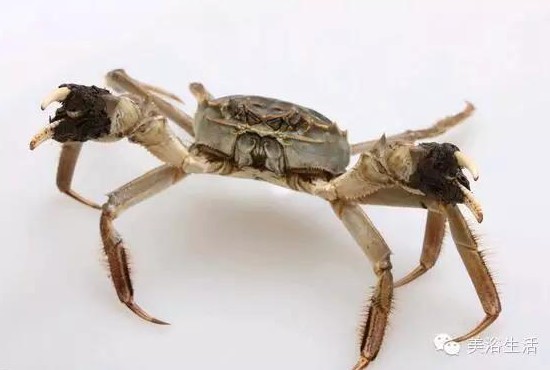 ԡÂĴlззSʳзȯзë