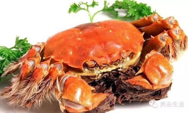 ԡÂĴlззSʳзȯзë